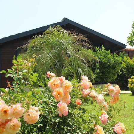 Cirali Villa'S Kemer Exterior photo