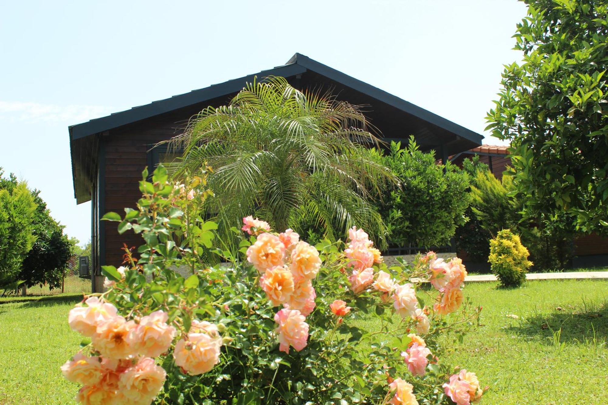 Cirali Villa'S Kemer Exterior photo